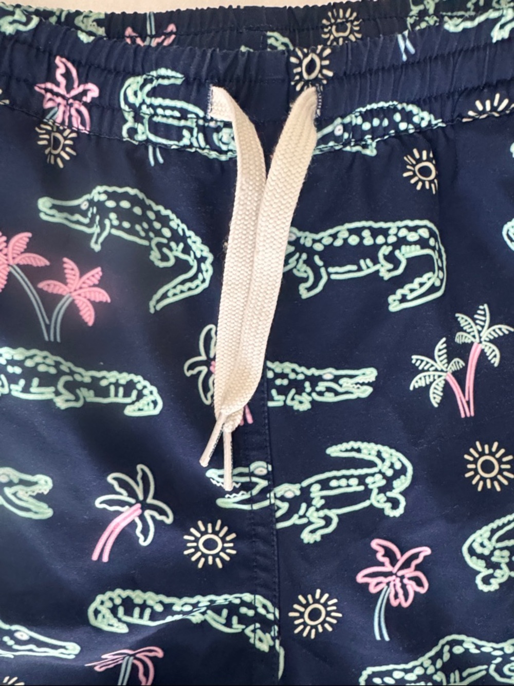 Boys Chubbies Swim Trunks - Picture 2 of 4